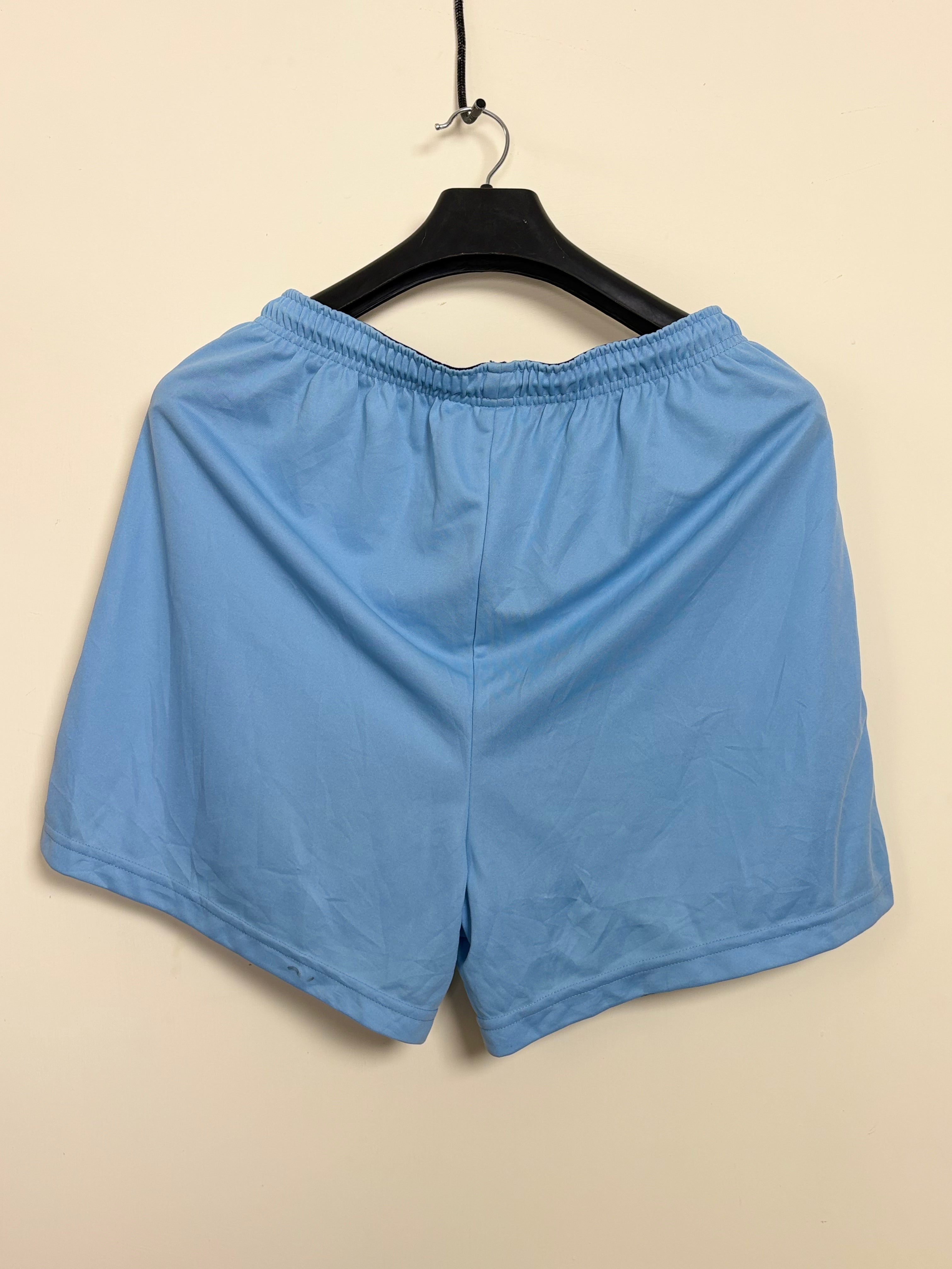 Adidas 3-Stripe Athletic Shorts (Light Blue)