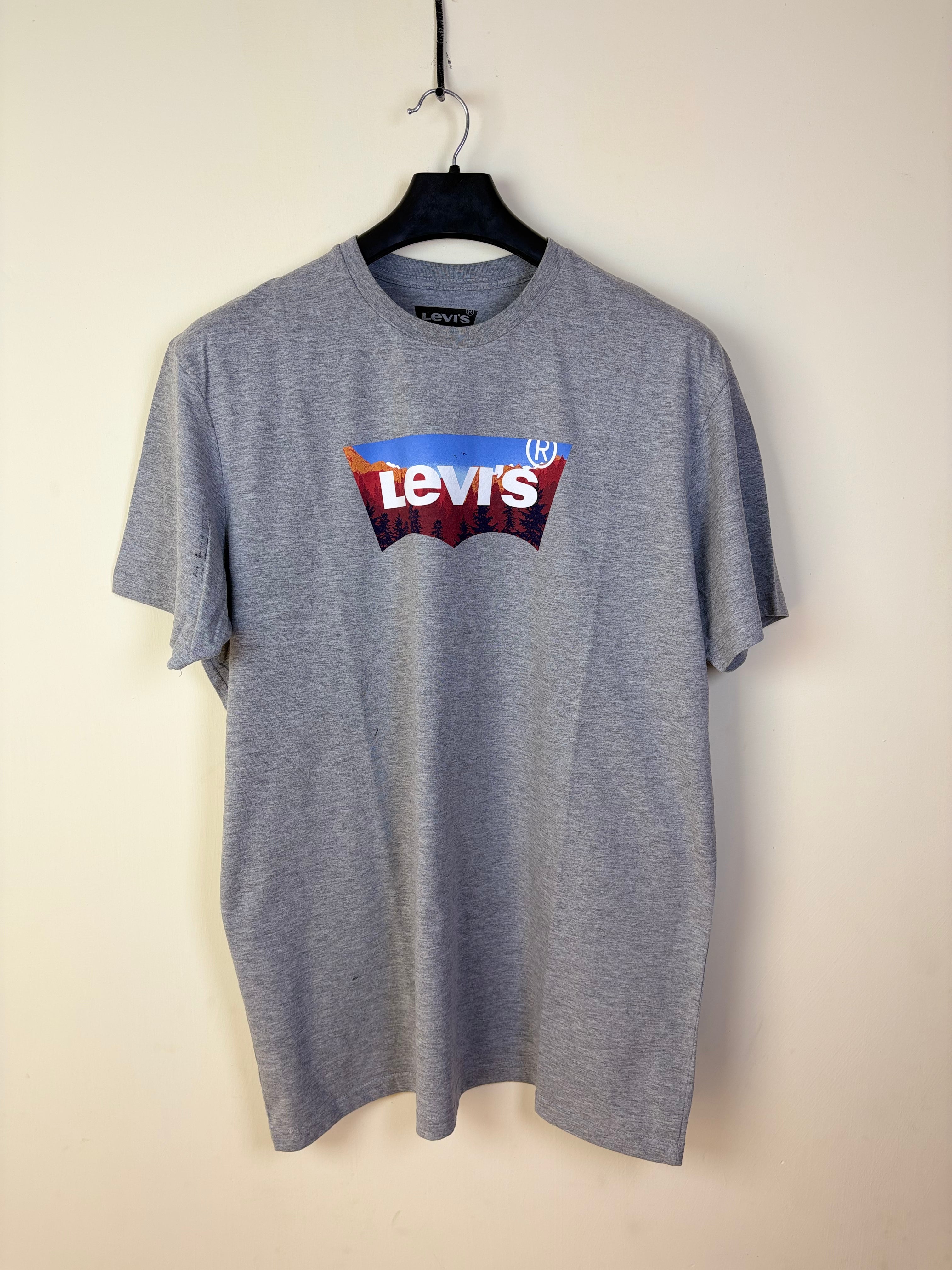Levi's Men's Batwing Graphic Logo T-Shirt - Heather Grey (XL)