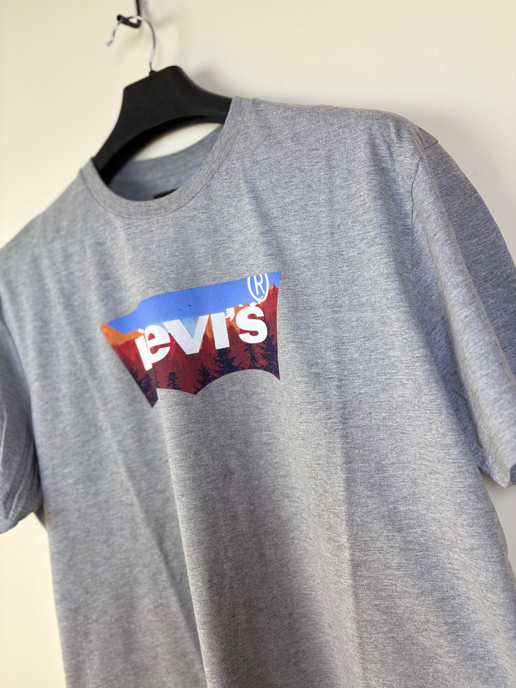 Levi's Men's Batwing Graphic Logo T-Shirt - Heather Grey (XL)