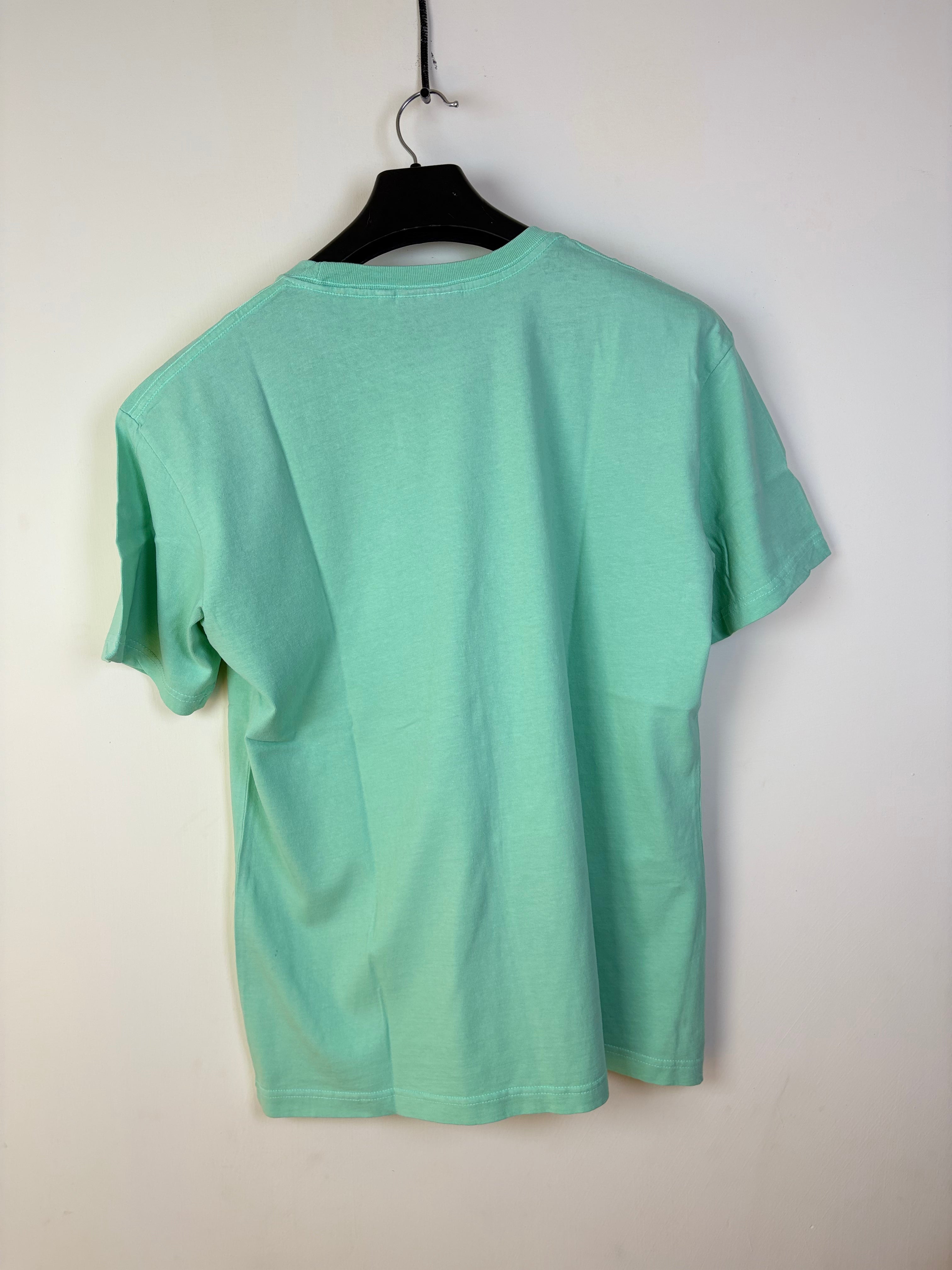 Sunsations Men's Fenwick Island Delaware Graphic Crewneck T-Shirt - Mint Green (L)